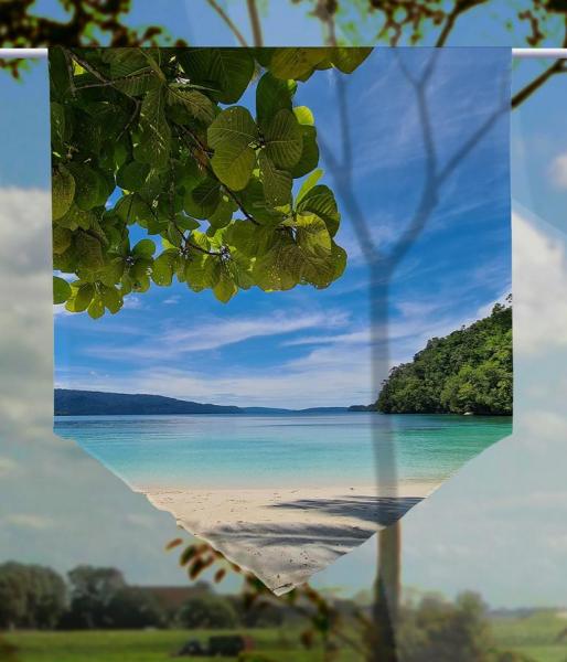 Traumzeit Papua, Scheibenhänger spitz